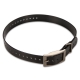 Pasek zamienny do obroży czarny