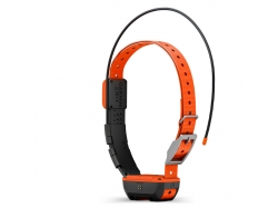  Obroża Alpha T 20 K z funkcją śledzenia psa