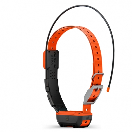 Obroża Alpha T 20 K z funkcją śledzenia i szkolenia psa