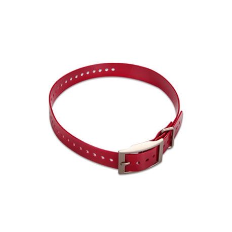 Pasek zamienny do obroży czerwony