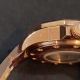 Vostok Europe NH35A-225B616