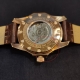 Vostok Europe NH35A-225B616