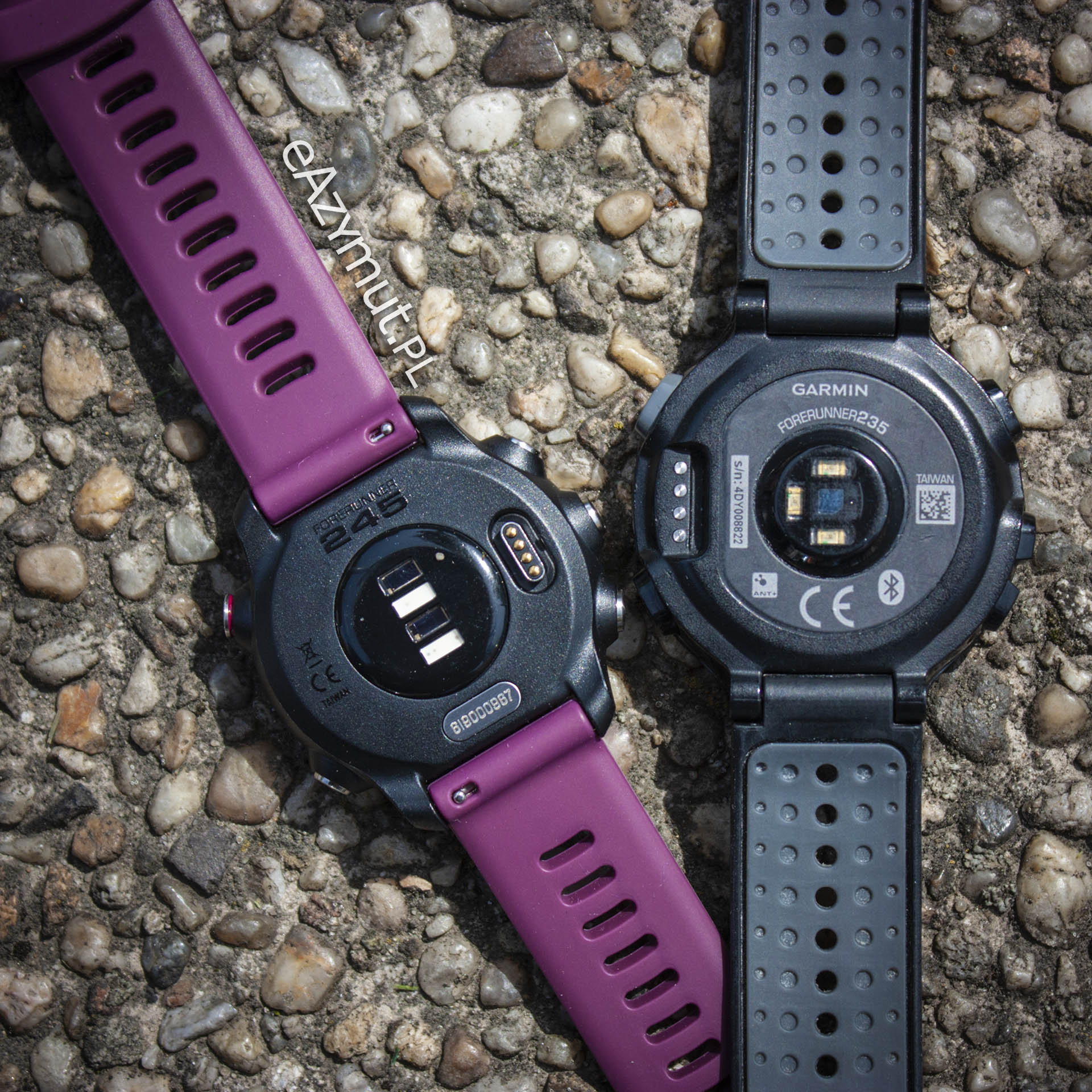 Forerunner 245 sensor Elevate