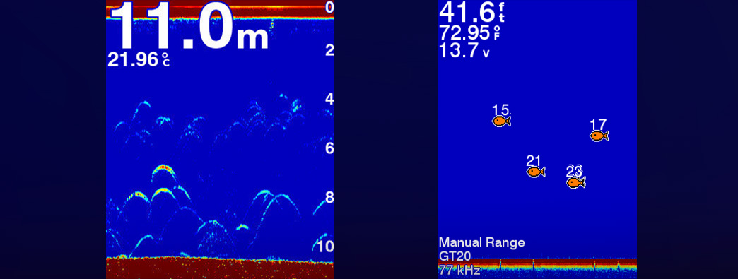 Garmin View