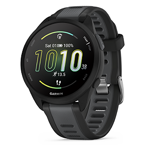 Garmin 165