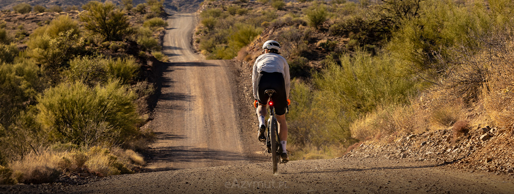 Garmin Rally Lifestyle