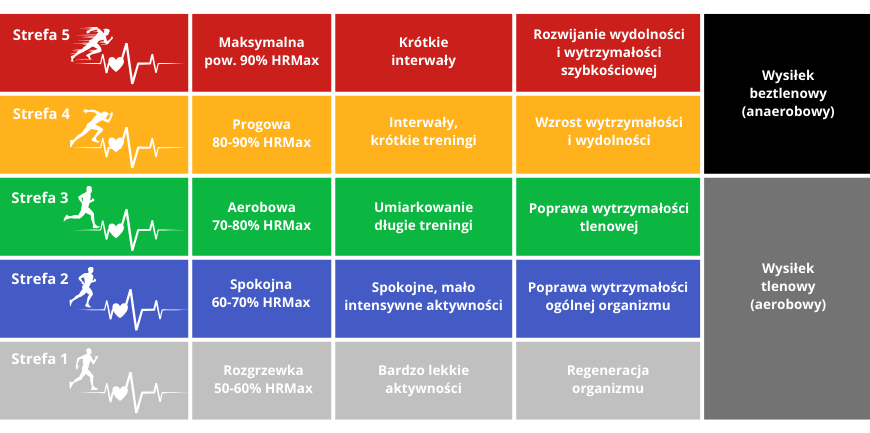 Strefy tętna