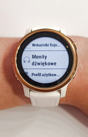 Monity dźwiękowe