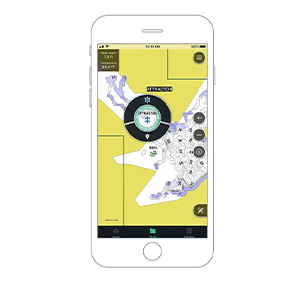 smartfon