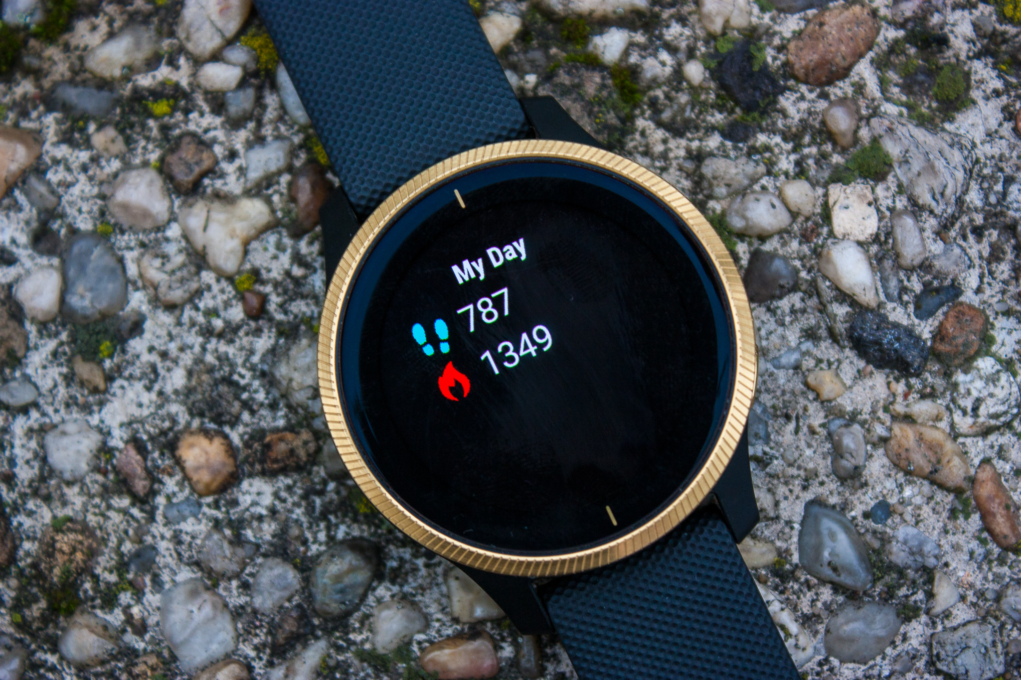 garmin venu 1