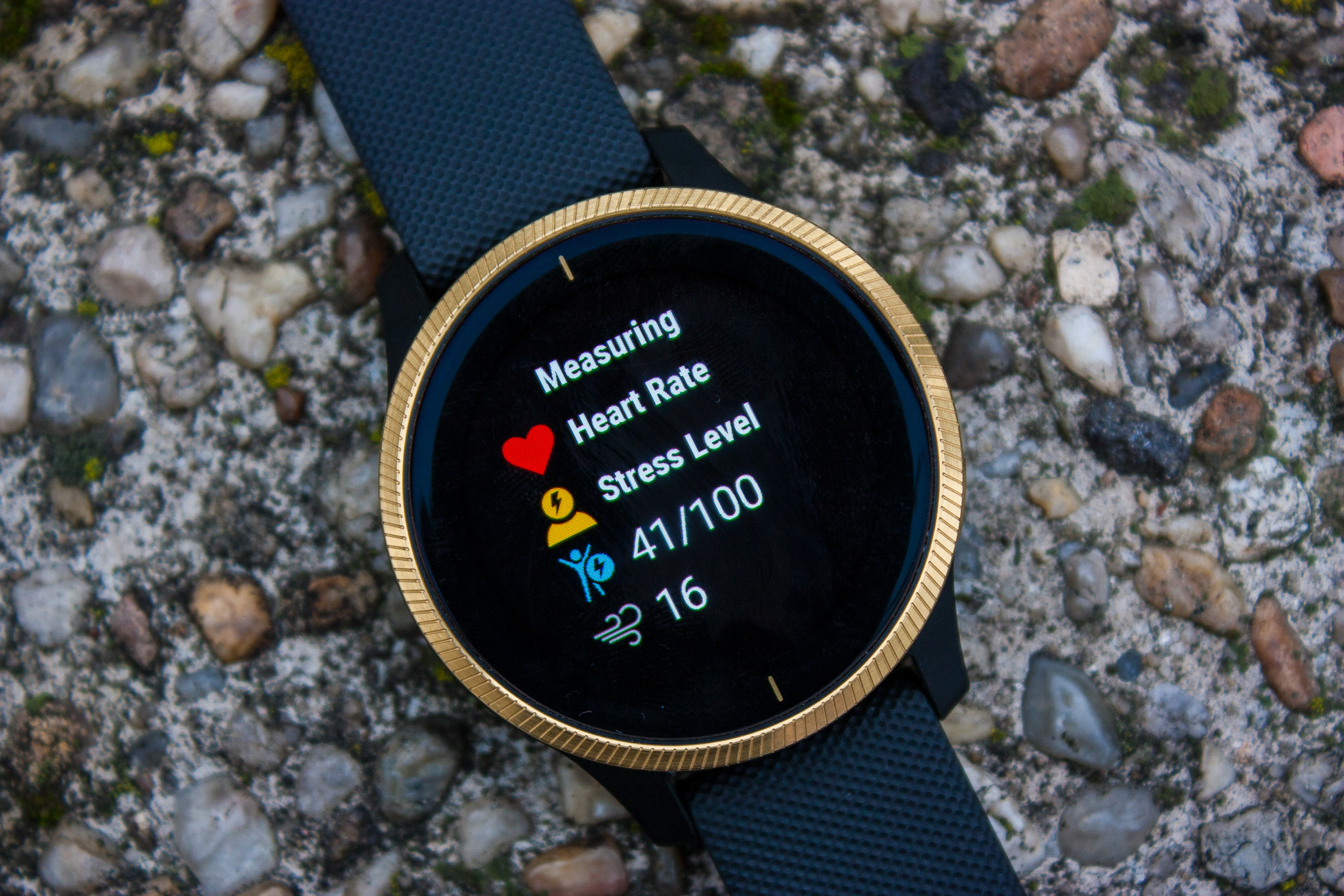 Garmin venu 2