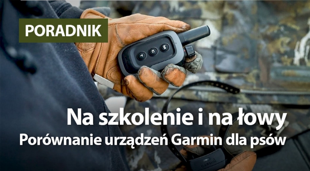 Na szkolenie i na łowy. Porównanie urządzeń Garmin dla psów