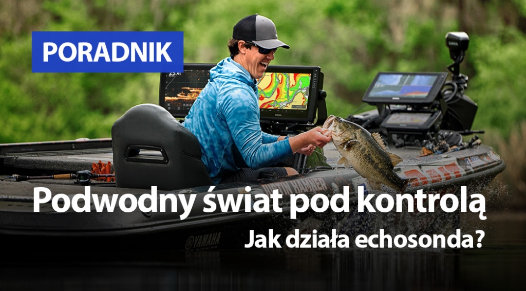 Podwodny świat pod kontrolą. Jak działa echosonda?